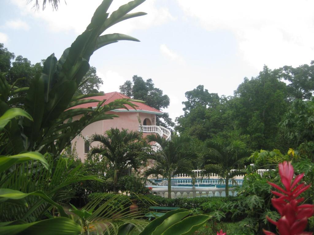 Banana Bank Lodge & Jungle Horseback Adventures Belmopan Eksteriør bilde