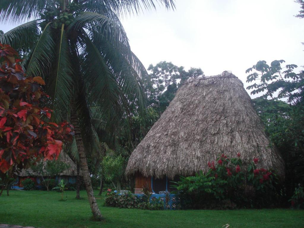 Banana Bank Lodge & Jungle Horseback Adventures Belmopan Eksteriør bilde