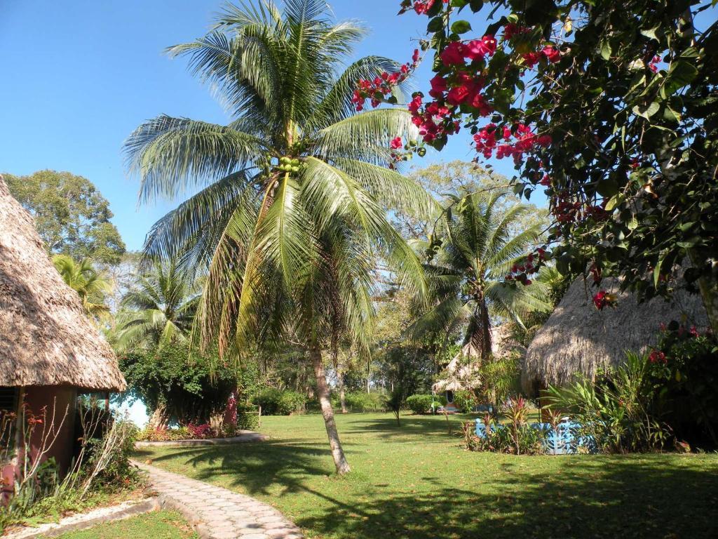 Banana Bank Lodge & Jungle Horseback Adventures Belmopan Eksteriør bilde