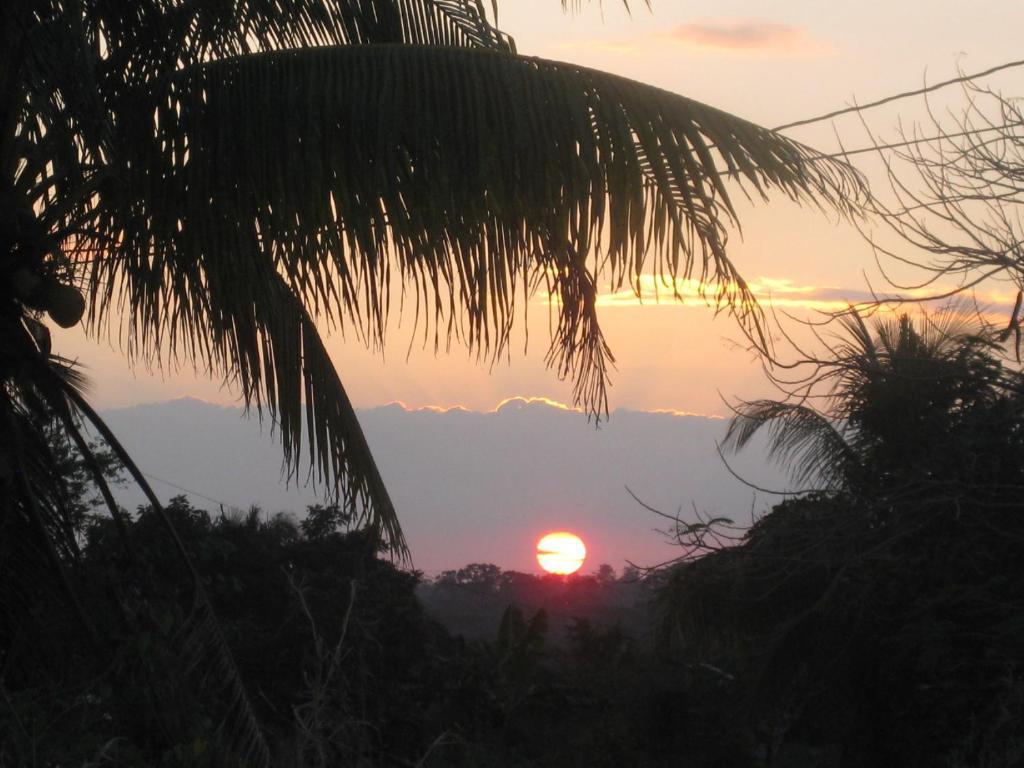 Banana Bank Lodge & Jungle Horseback Adventures Belmopan Eksteriør bilde