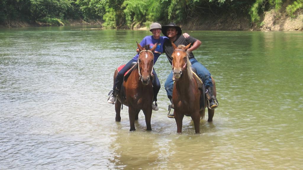 Banana Bank Lodge & Jungle Horseback Adventures Belmopan Eksteriør bilde