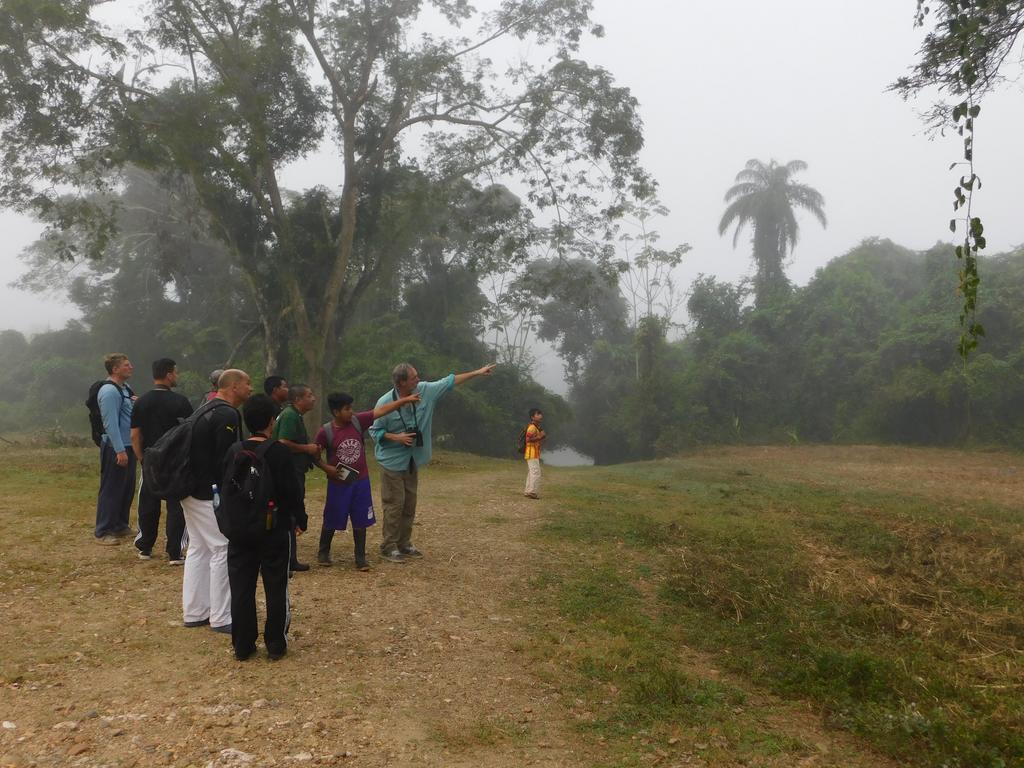 Banana Bank Lodge & Jungle Horseback Adventures Belmopan Eksteriør bilde