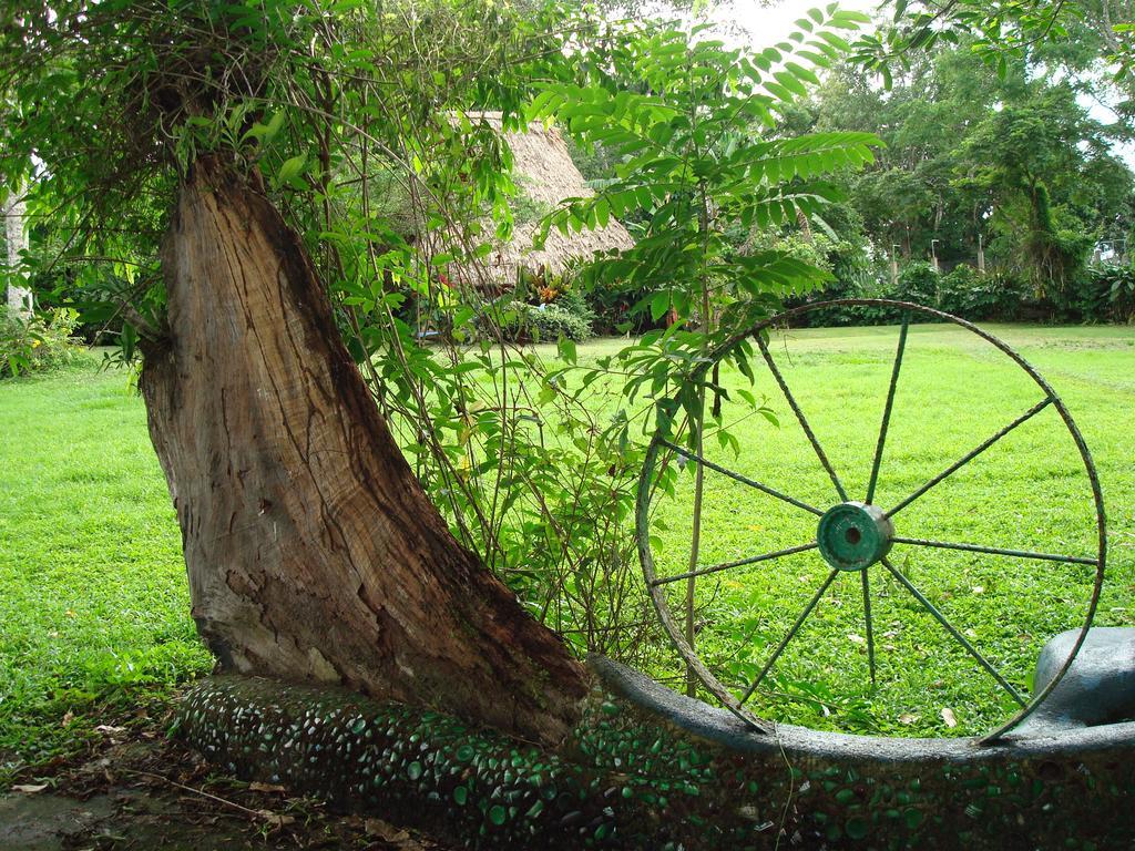 Banana Bank Lodge & Jungle Horseback Adventures Belmopan Eksteriør bilde