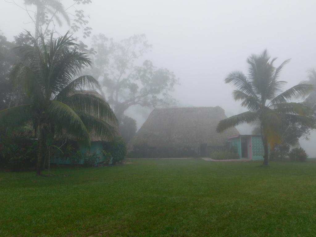Banana Bank Lodge & Jungle Horseback Adventures Belmopan Eksteriør bilde